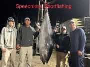 Oceans East Bait & Tackle Nags Head, 84 Inch Bluefin!