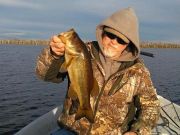 Oceans East Bait & Tackle Nags Head, Bass & Tuna