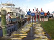 Oregon Inlet Fishing Center, Limits of Yellow Fin Tuna Limits of Dolphin and Billfish!!