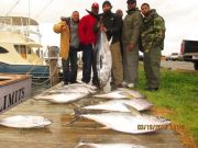 Oregon Inlet Fishing Center, Tuna and Dolphin caught 3/19/16