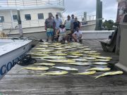 Country Girl Charters, Outer Banks Mahi Mahi 06/12/23