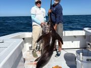 Pirate's Cove Marina, October Fishing!