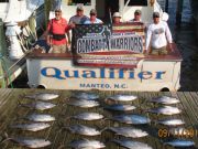 Oregon Inlet Fishing Center, Limits of Yellow Fin Tuna Plus Plus Plus!!!