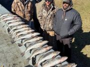 TW’s Bait & Tackle, Anglers Find Steady Action