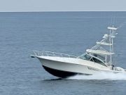 Jennette's Pier, So far... Bluefish!