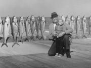 Jennette's Pier, Sunny & Cold