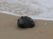 Jennette's Pier, Quiet Start to the Day