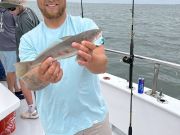 Miss Oregon Inlet II Head Boat Fishing, It was awesome!!!