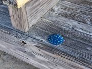 Jennette's Pier, Sunny, warmer and nice out.