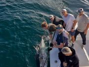 Pirate's Cove Marina, A great start to 2026!