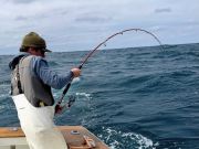 Oregon Inlet Fishing Center, Bluefin to be Caught!