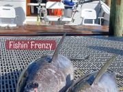 Oregon Inlet Fishing Center, Solid Sunday Fishing