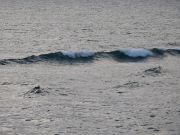 Outer Banks Boarding Company, Tuesday September 27th