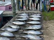 True Grit Sportfishing, These boys put it to them today.