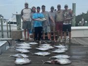 Country Girl Charters, Little follow up from the last few days…