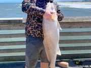 Jennette's Pier, Drum Bite