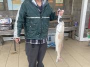 Jennette's Pier, Sea Mullet, Small Blues and Northern Puffers