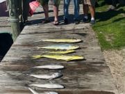 True Grit Sportfishing, Came Up With a Little Catch