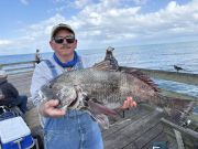 Fishing Unlimited Outer Banks Boat Rentals, Nice Variety of Catches