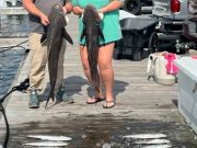 Pirate's Cove Marina, Serious Heat at the Docks