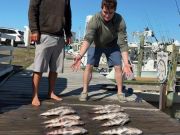 Fishing Unlimited Outer Banks Boat Rentals, Blues, Flounder, Sea Mullet, Croaker, and More