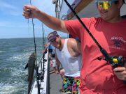 Miss Oregon Inlet II Head Boat Fishing, Wack Them Wednesday