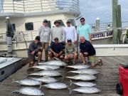 Pirate's Cove Marina, Yellowfin Tuna, Mahi, Tilefish, and Sea Bass!