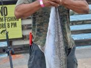 Jennette's Pier, King Mackerel at the Pier