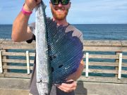 Jennette's Pier, Sailfish Catch & Release