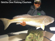 TW’s Bait & Tackle, TW’s Daily Fishing Report