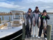 Oceans East Bait & Tackle Nags Head, Amazing Bluefin fishing offshore and great crappie fishing Inland!