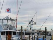Oceans East Bait & Tackle Nags Head, Boat hoping to chase Bluefin tomorrow