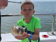 Miss Oregon Inlet II Head Boat Fishing, Friday morning