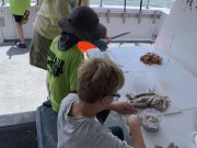 Miss Oregon Inlet II Head Boat Fishing, Troop 318