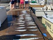 Pirate's Cove Marina, Winds Are a Blowin'