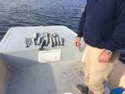 Oceans East Bait & Tackle Nags Head, Great offshore bite