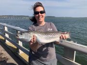Oceans East Bait & Tackle Nags Head, Blow toads, trout, stripers, and puppy drum