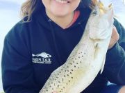 Oceans East Bait & Tackle Nags Head, Stripers and plenty of trout