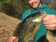 Oceans East Bait & Tackle Nags Head, Awesome crappie and bass fishing