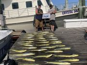 Country Girl Charters, 500 lb. Marlin