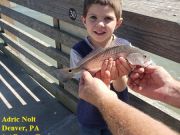 TW’s Bait & Tackle, Daily Fishing Report