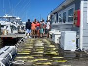 Pirate's Cove Marina, Monday Full of Mahi!