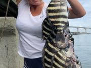 TW’s Bait & Tackle, Daily Fishing Report