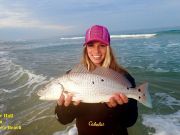 TW’s Bait & Tackle, Daily fishing Report