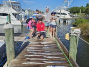 Pirate's Cove Marina, Nearshore Action