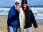 TW’s Bait & Tackle, Daily Fishing Report