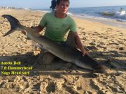 TW’s Bait & Tackle, Daily Fishing Report