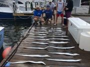 Pirate's Cove Marina, Storm Prep!