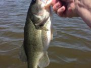 TW’s Bait & Tackle, Daily fishing Report