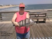 TW’s Bait & Tackle, Daily Fishing Report